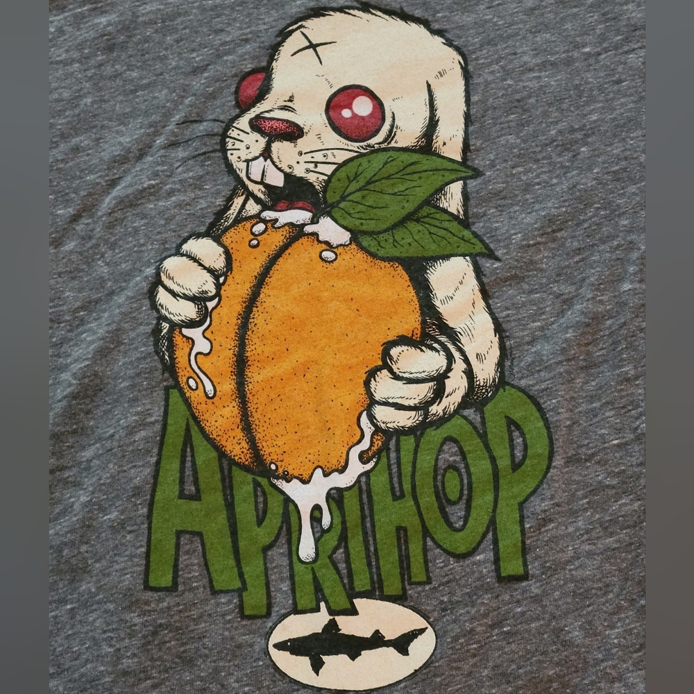 DFH Aprihop Gray S/S Ringer Tee Unisex Small